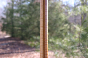 gorgeous flamed hickory cane stick 