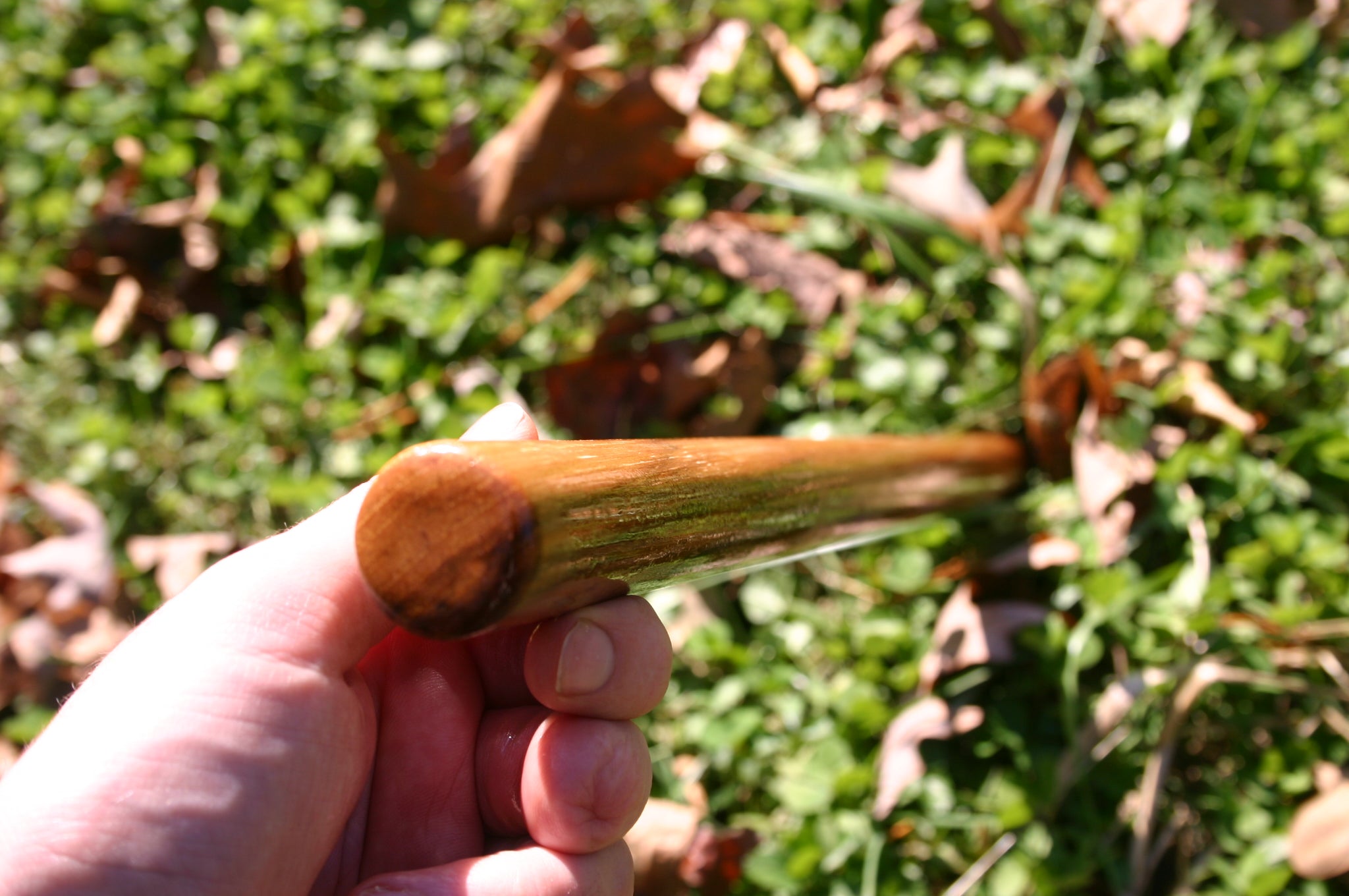 Holding a Handmade Hickory Tanbo Staff.