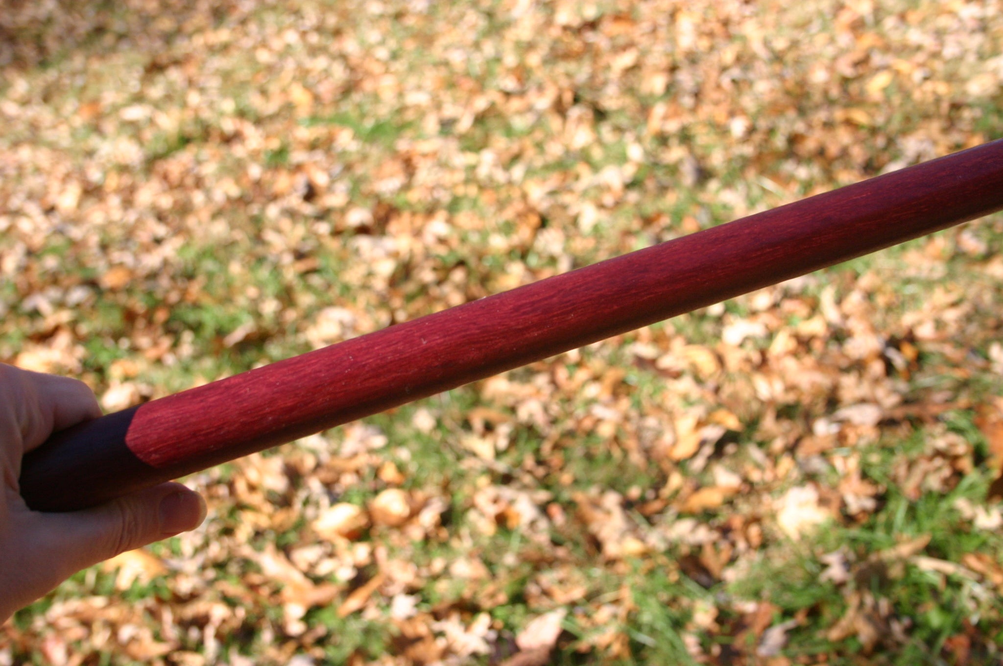 Hand holding a [purpleheart Tanbo outside. 