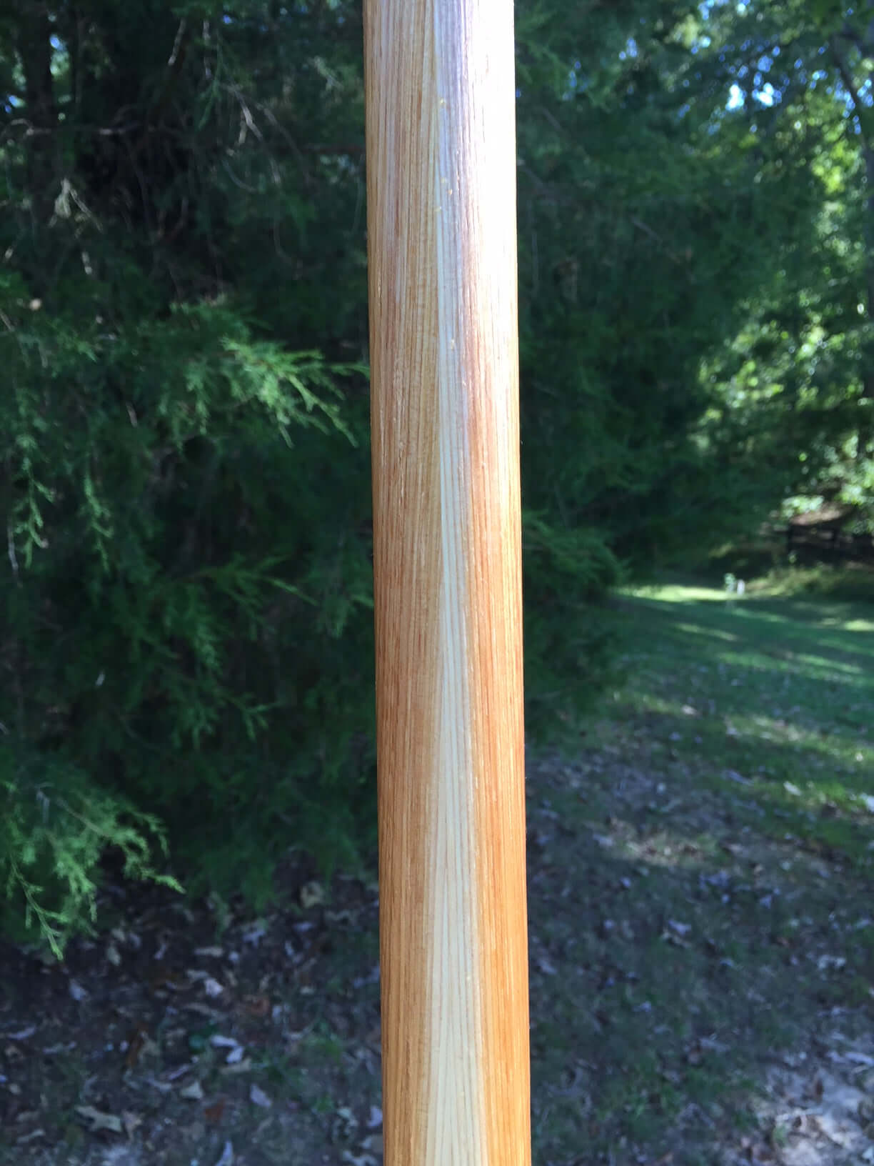 Thick 1.25 Hickory Jo Staff for Hiking 