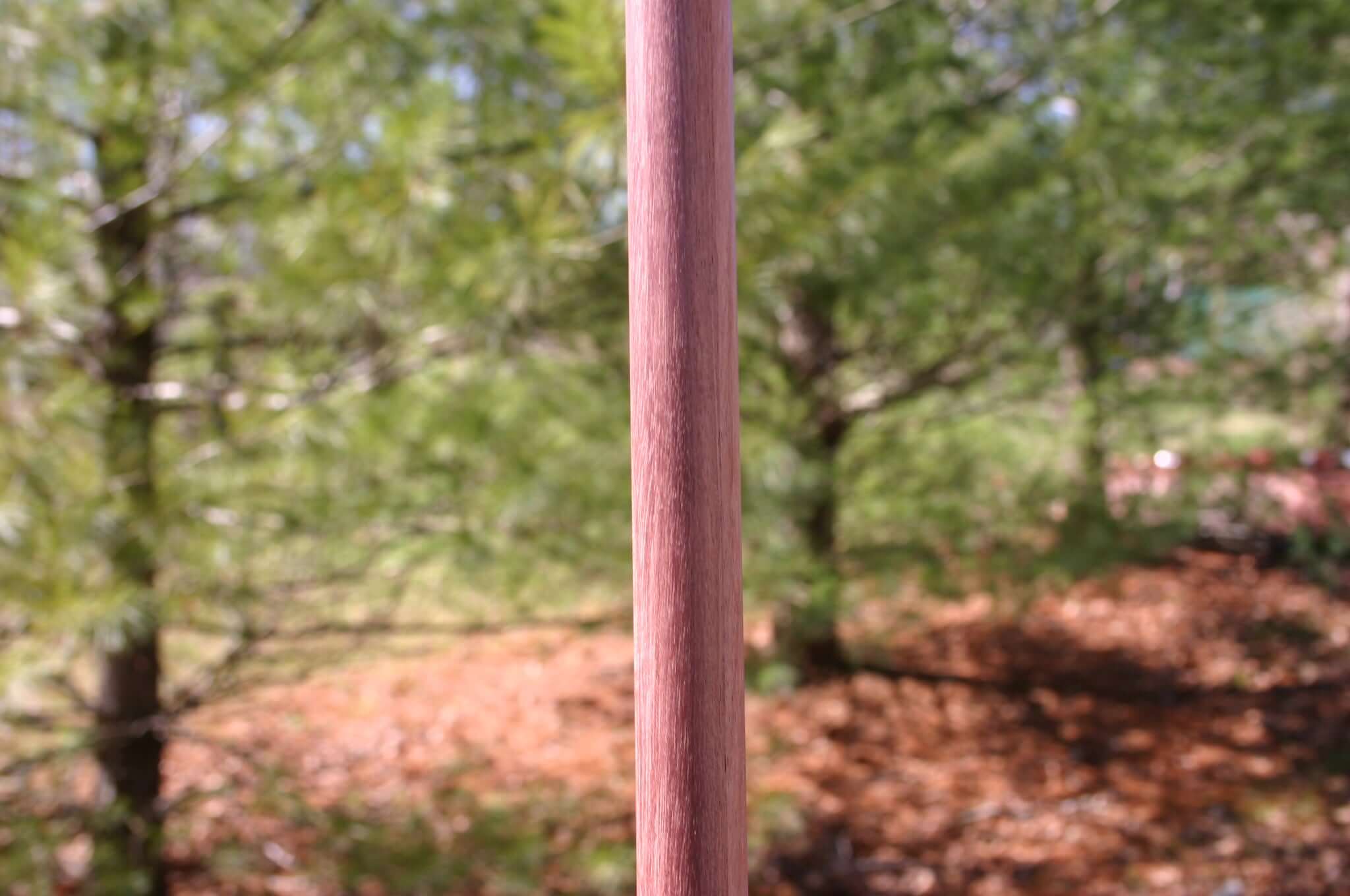 Hiking staff purpleheart wood