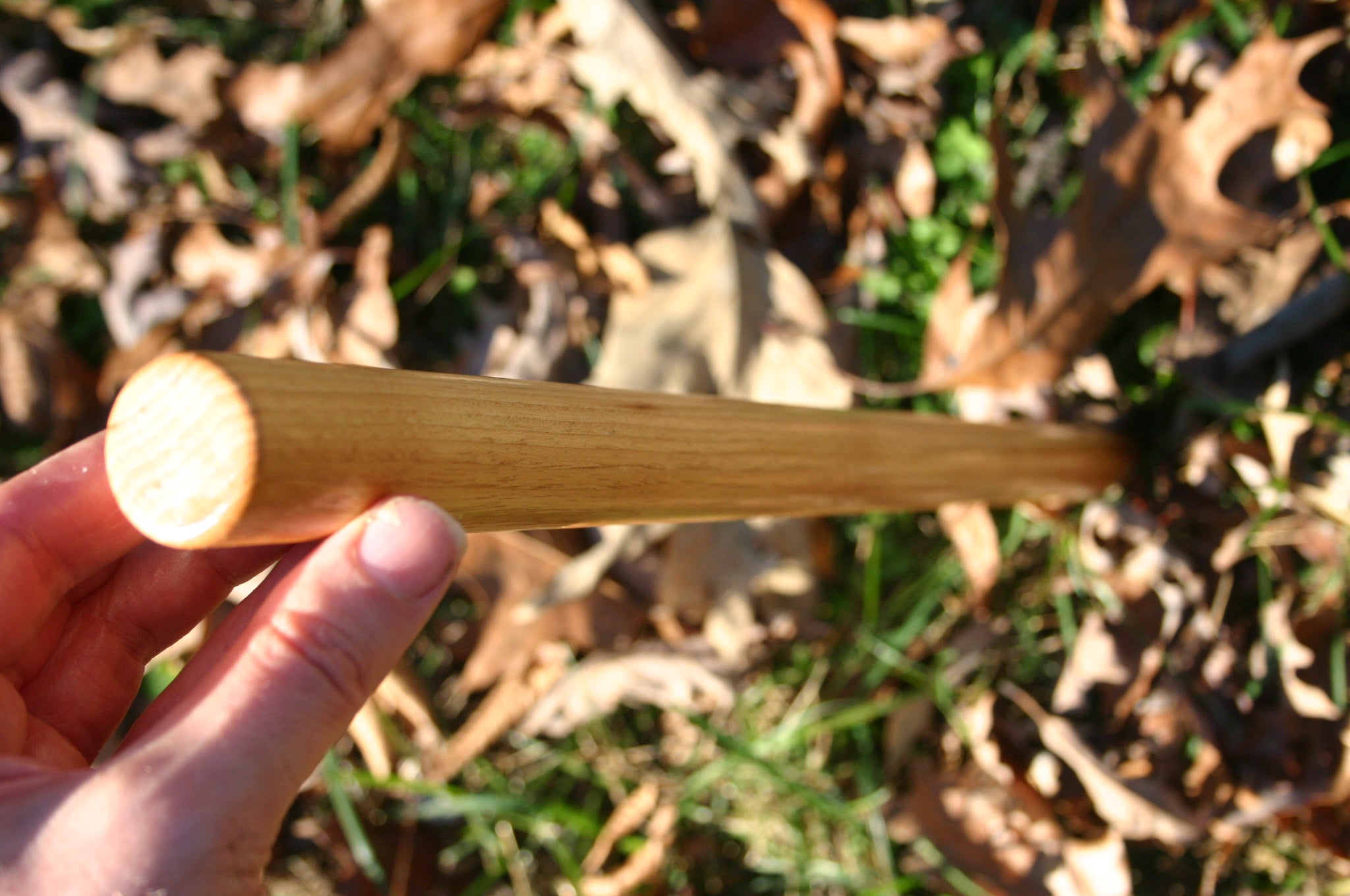 Holding an extra heavy hickory tanbo outside in the leaves.