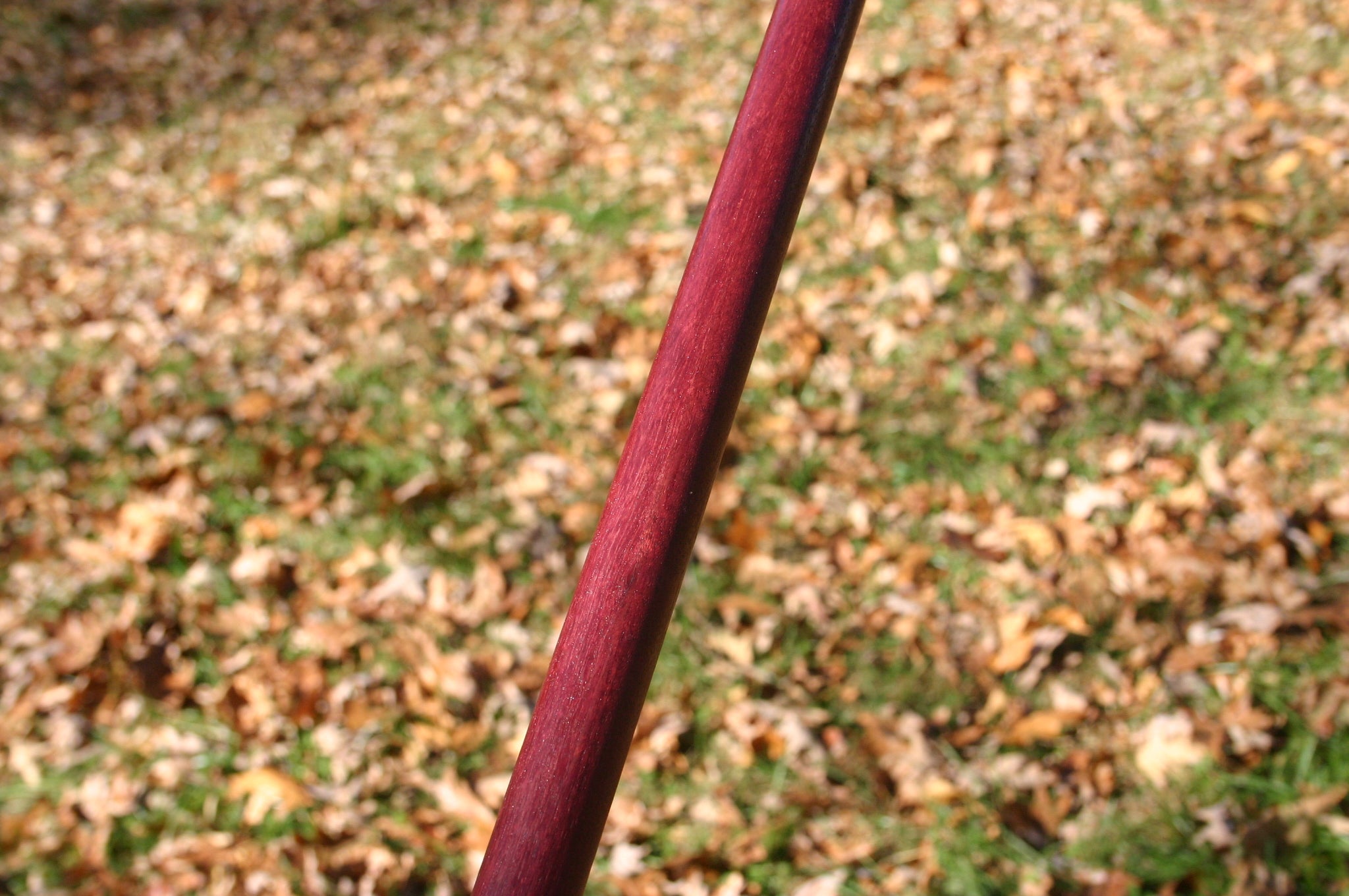 Holding a handmade PurpleHeart Tanbo outside.