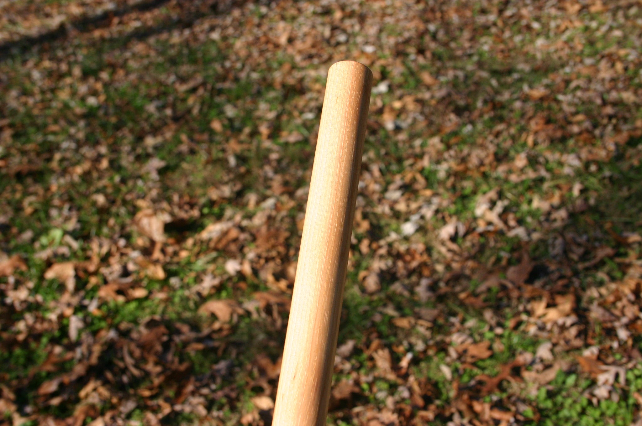 A Kali Stick made out of solid hickory with a backdrop of fall foliage