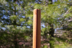 bo staff purpleheart hickory jo staff